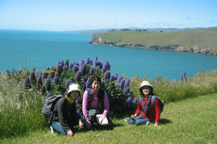Christchurch Coastal Hiking Tour - Photo 1 of 6